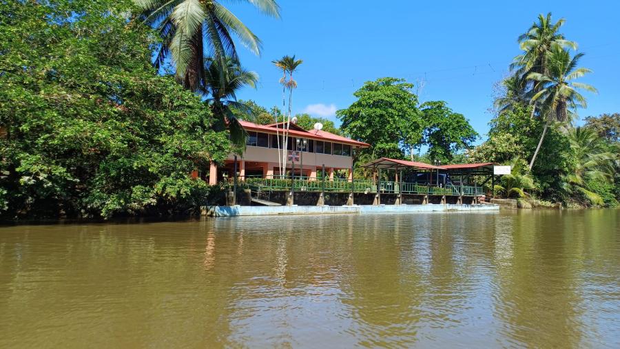 Zdjęcie WhatsApp 2025-12-10 o 08.46.00_3a8fedf1.jpg