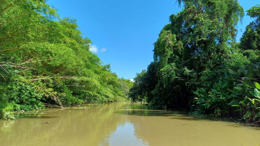 Zdjęcie WhatsApp 2025-12-10 o 08.45.59_a25b58f7.jpg