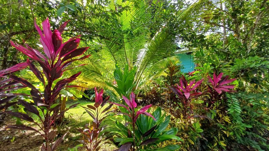 Zdjęcie WhatsApp 2025-12-10 o 08.45.58_906b53a6.jpg