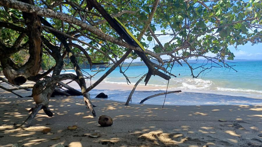 Zdjęcie WhatsApp 2025-12-10 o 08.45.58_32b38a7d.jpg