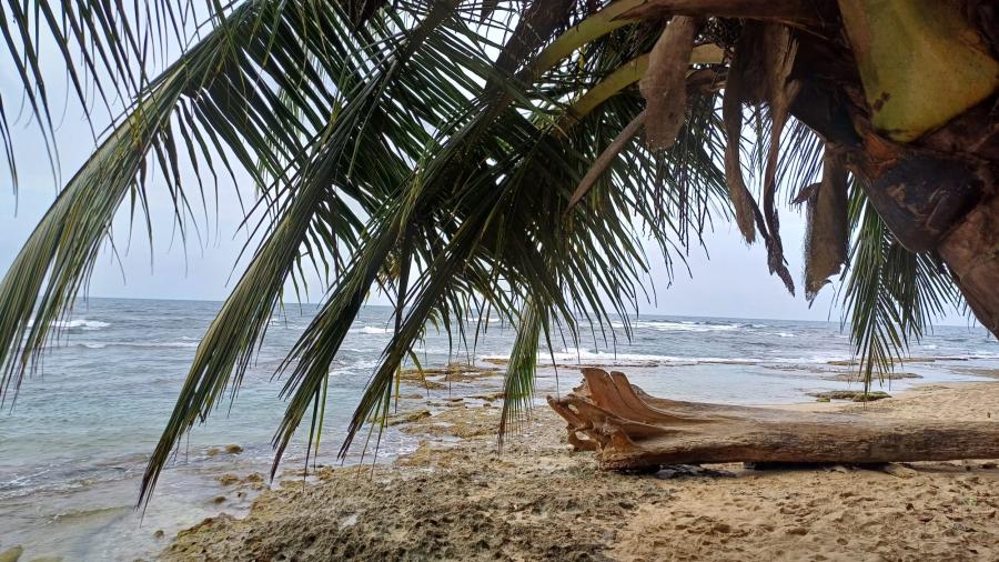 Zdjęcie WhatsApp 2025-12-10 o 08.45.57_056b77f0.jpg