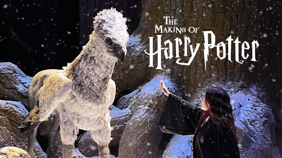 maxresdefault (1).jpg