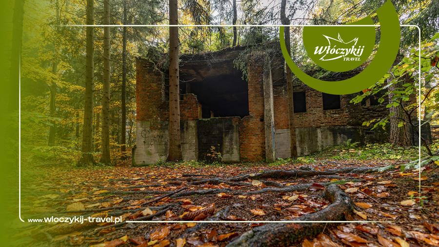 wloczykij-travel-900x506px-osowka-06.jpg