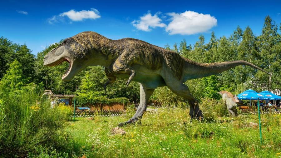 JuraPark Ba+ét+-w8.JPG