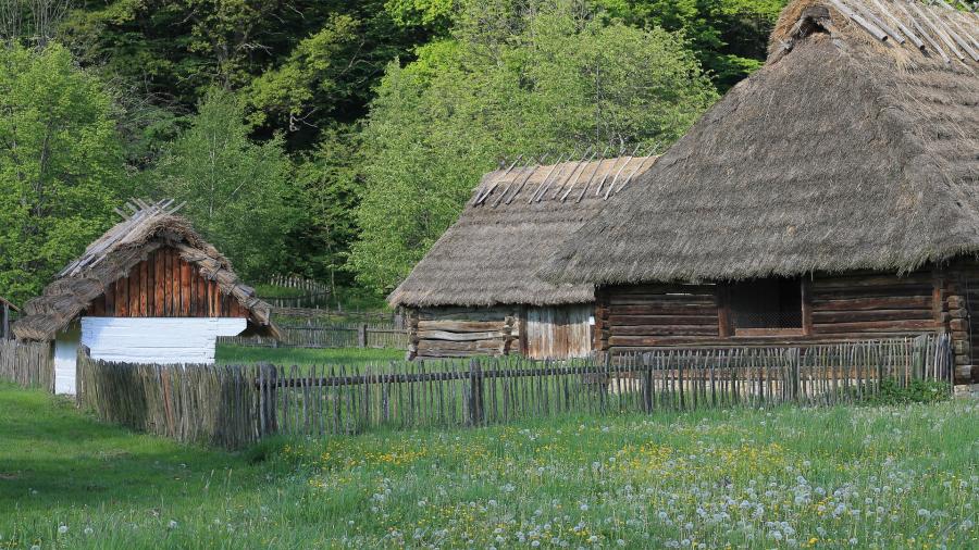 Sanok skanen2.jpg