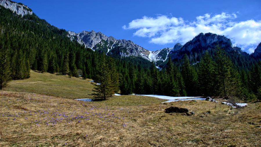 Dolina KOścieliska.jpg